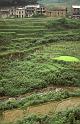 RWT 0147 141-24 Nepal